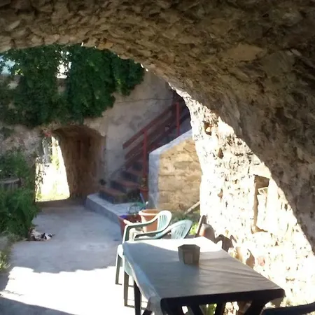 Melita The For Animal Lovers Babino Polje