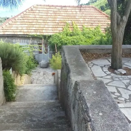 Melita The For Animal Lovers *