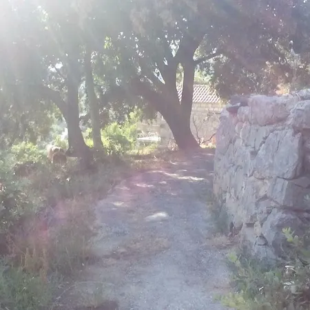 בקתה Melita The For Animal Lovers Babino Polje