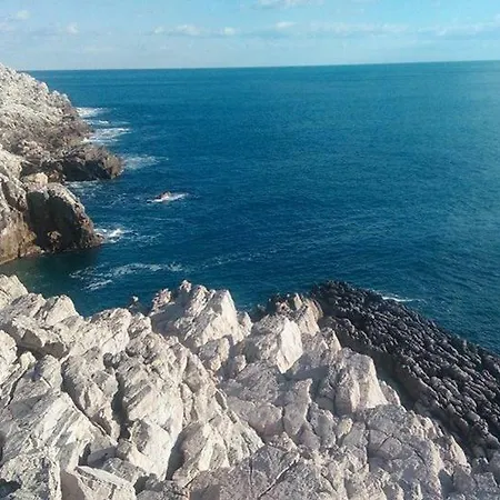 Melita The For Animal Lovers בקתה Babino Polje