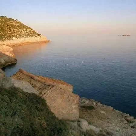 Melita The For Animal Lovers בקתה