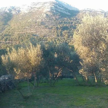 בקתה Melita The For Animal Lovers