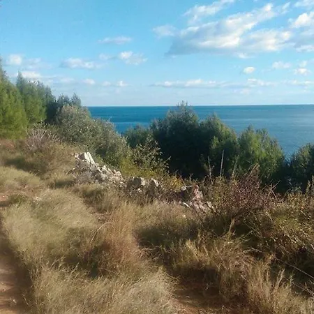 Melita The For Animal Lovers *