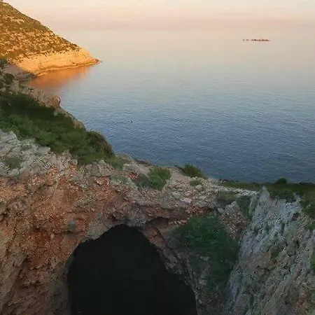 Melita The For Animal Lovers *