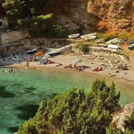 Melita The For Animal Lovers