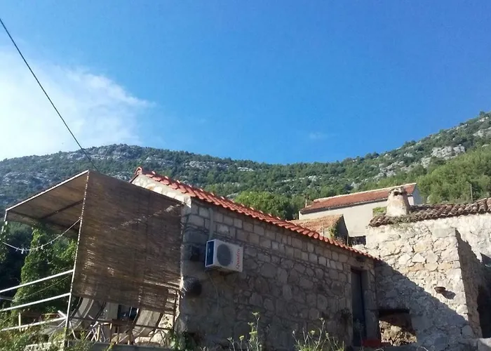 Melita The For Animal Lovers Babino Polje