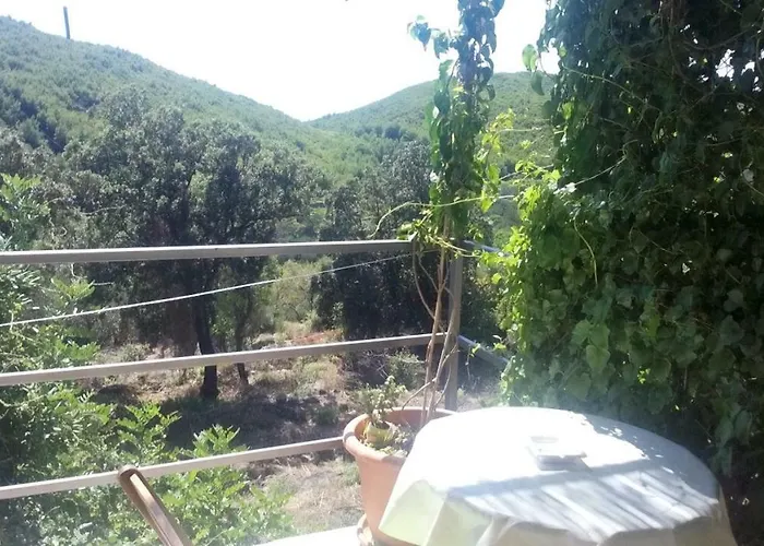 Melita The For Animal Lovers Babino Polje