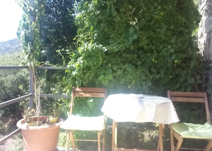 Chalet Melita The For Animal Lovers Babino Polje