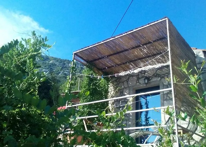 Melita The For Animal Lovers Babino Polje