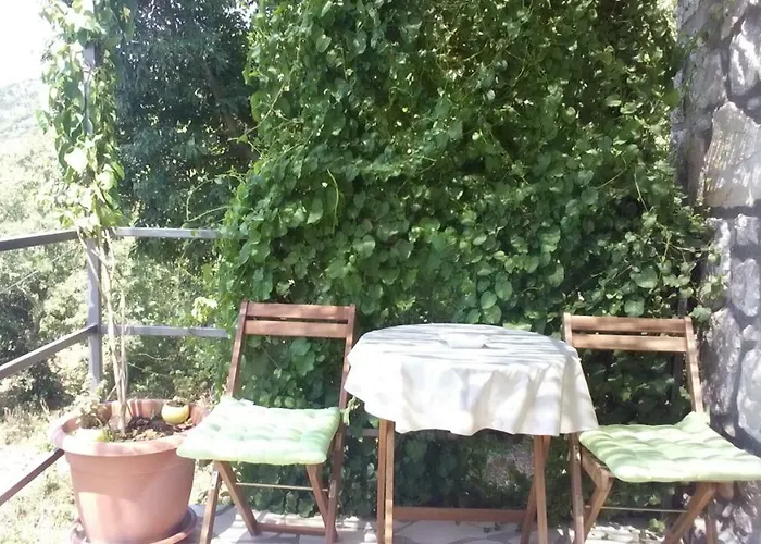 Chalet Melita The For Animal Lovers Babino Polje