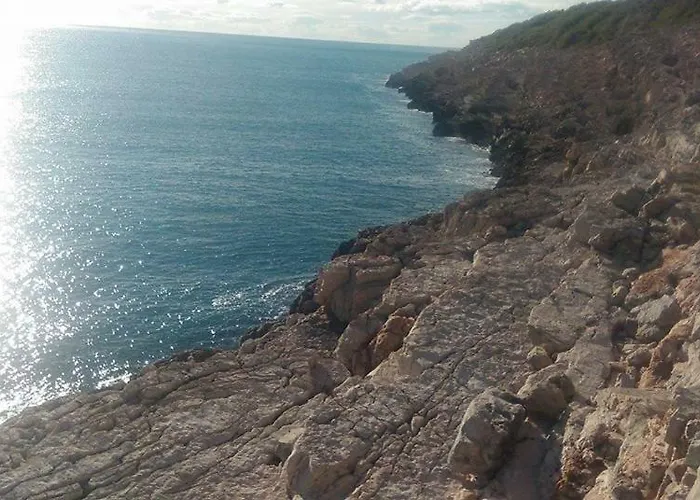 Chalet Melita The For Animal Lovers
