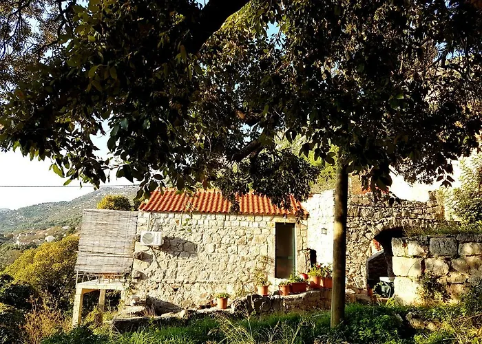 Chalet Melita The For Animal Lovers