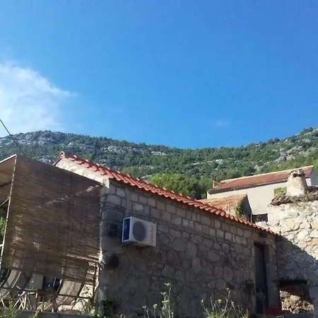 Melita The For Animal Lovers Babino Polje