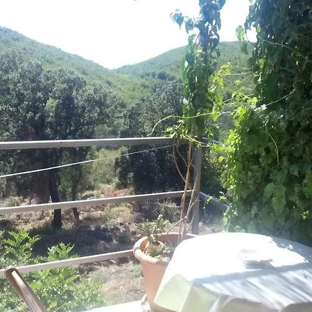 Melita The For Animal Lovers Babino Polje