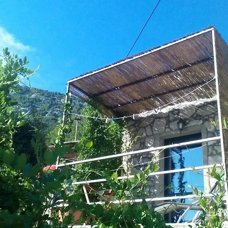 Melita The For Animal Lovers Babino Polje