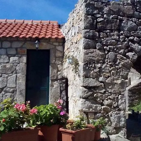 Melita The For Animal Lovers Babino Polje