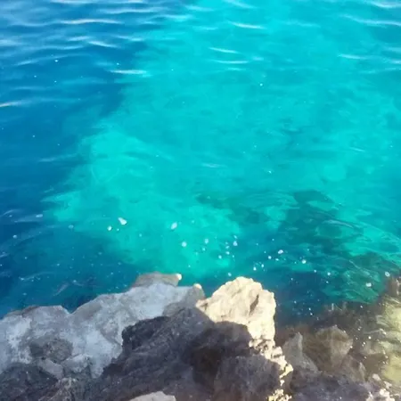 Melita The For Animal Lovers Babino Polje