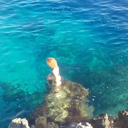 Melita The For Animal Lovers Chalet *