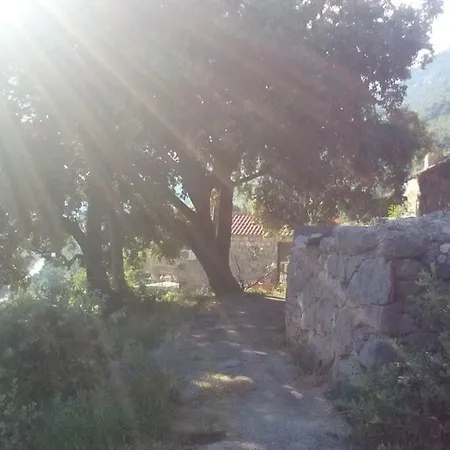 Melita The For Animal Lovers Chalet *