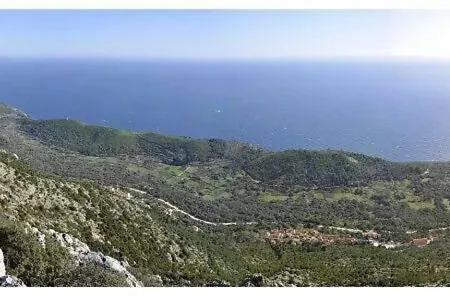 Melita The For Animal Lovers