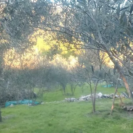 Melita The For Animal Lovers *